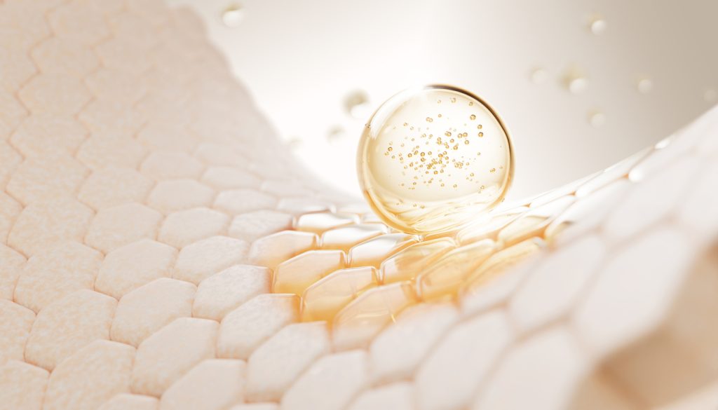 Il collagene rappresenta la proteina strutturale più abbondante nei mammiferi, costituendo circa il 30% del contenuto proteico totale. La sua presenza è fondamentale per l'integrità strutturale della pelle, delle ossa, delle cartilagini, dei tendini e dei vasi. Contribuisce non solo alla resistenza meccanica dei tessuti, ma anche alla loro capacità di rigenerarsi.